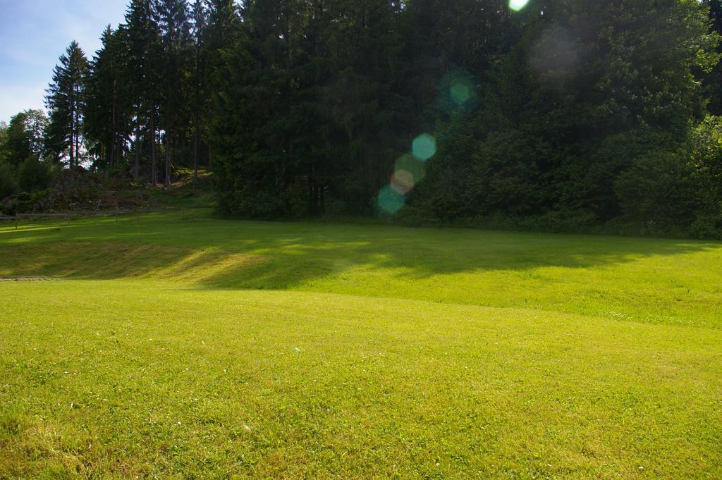 Penzion U Lipna Přední Výtoň Buitenkant foto
