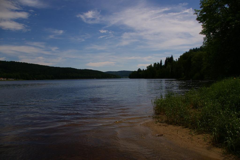 Penzion U Lipna Přední Výtoň Buitenkant foto